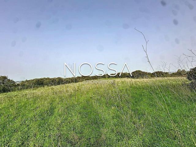 Terreno Rústico nas Raposeiras