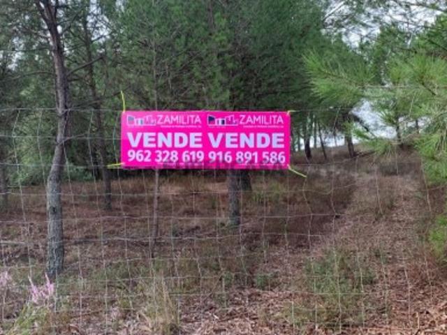 Terreno Rústico Nucho das Figueiras, Casal Pegões