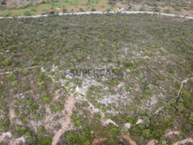 Terreno Rústico com Oliveiras e Alfarrobeiras em S. Brás de Alportel