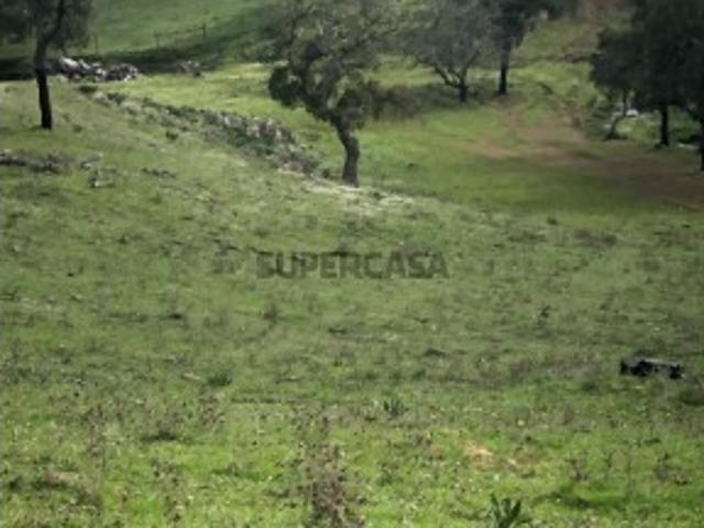 Terreno Rústico São Bartolomeu da Serra
