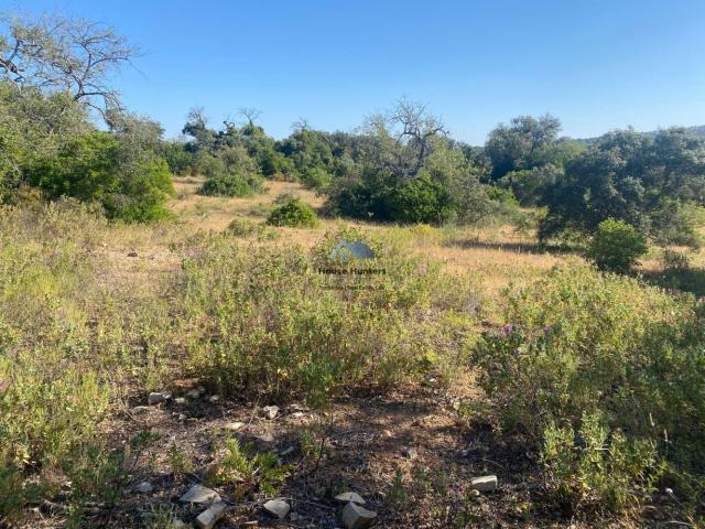 Terreno rustico | São Clemente | Loulé
