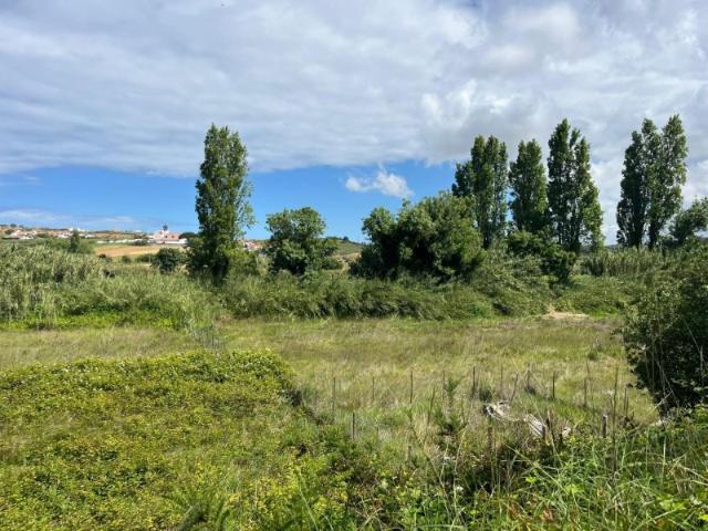 Terreno Rustico, Santo Isidoro, 3.937m2