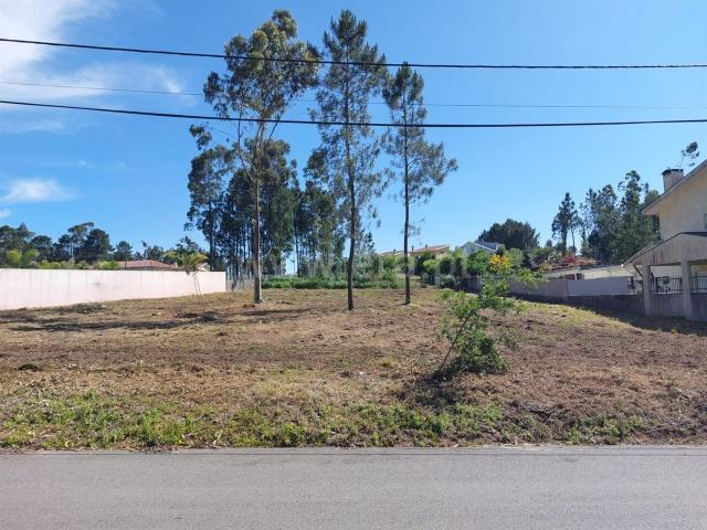 Terreno Rústico / Santa Maria da Feira, Argoncilhe