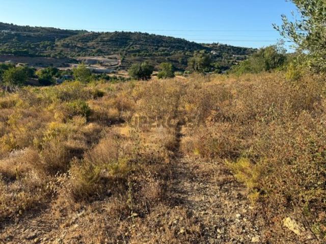 TERRENO RÚSTICO SITUADO CERRO DE ROQUE com 16440m2 PADERNE ALBUFEIRA