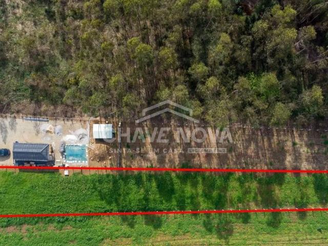 Terreno rústico situado em Ovar, destinado a cultivo agrícola