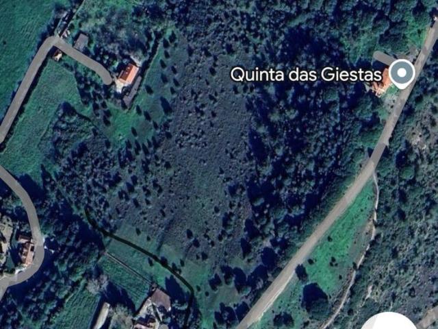 Terreno rústico situado na Serra das Necessidades Azeitão