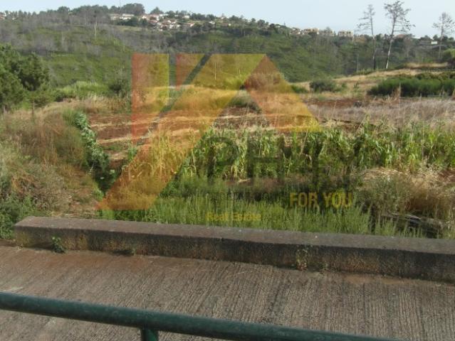 Terreno rústico situado no sítio do Pico Maloeira concelho da Calheta