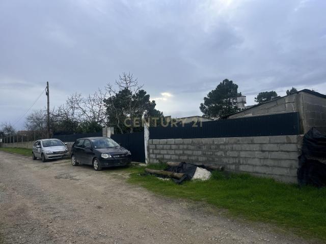 Terreno Rústico – Parcela de 1.200 m² em Pinhal das Formas Quinta do Anjo