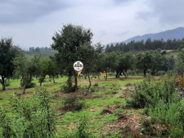 Terreno Rústico para venda, Tavila, Castelo Branco