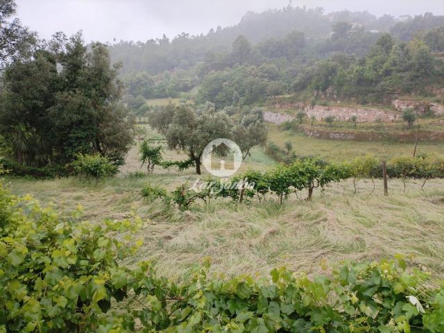 Terreno rústico, para venda, Terras de Bouro Vilar da Veiga