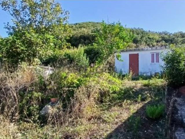 Terreno rústico para venda Cabeça dos Cartaxos, Mafra