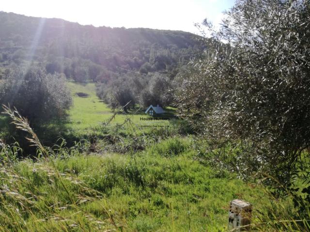 Terreno Rustico para Venda | Cerro | Alte | Loulé