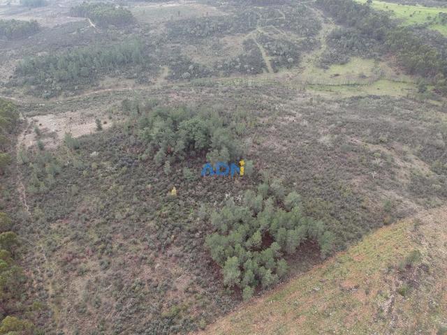 Terreno rústico para venda com 2,475ha