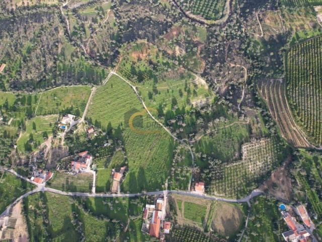 Terreno rústico para venda, com cerca de 5 hectares, Cotovio, Albufeira