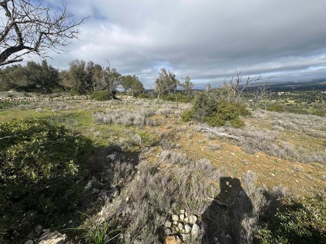 Terreno rustico para venda, com vista mar em Paderne