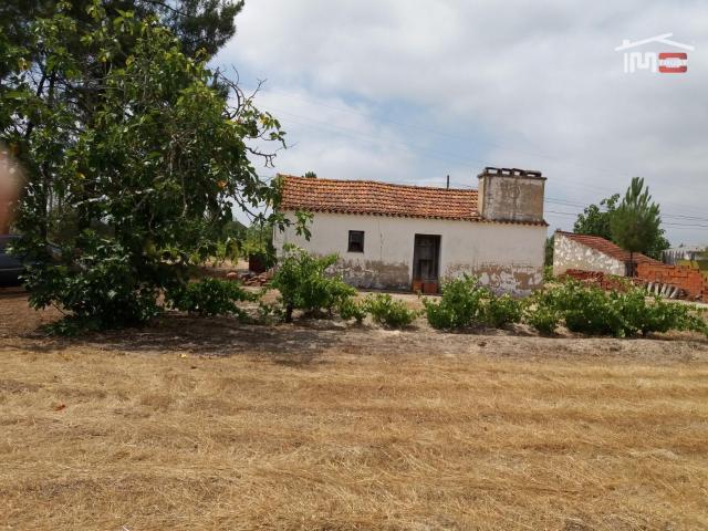 Terreno rústico, para venda, Coruche Coruche