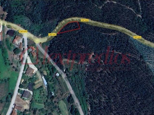 Terreno rústico para venda em Falgoselhe Águeda