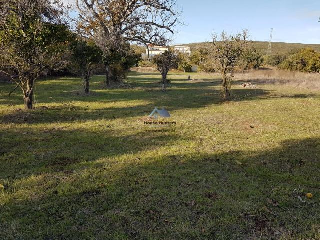 Terreno Rustico para Venda em Ribeira de Algibre | Benafim | Loulé