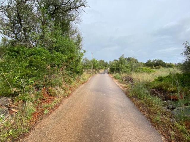 Terreno rústico para venda entre Algoz e Messines