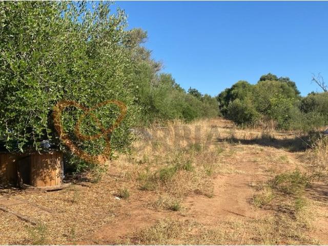 Terreno rústico para venda na Patã de Baixo, Albufeira