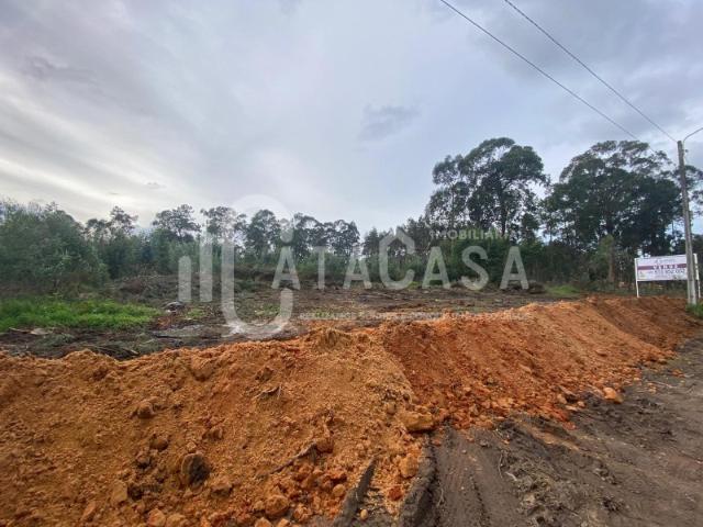 Terreno Rústico para venda no concelho de Águeda