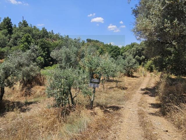 Terreno Rustico para venda no Sobral do Campo
