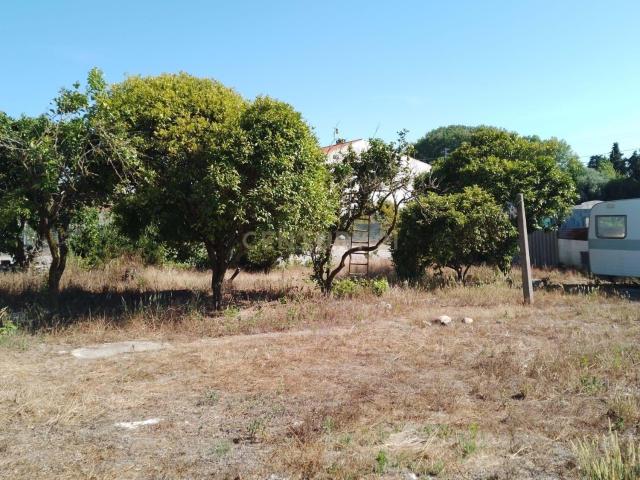Terreno Rústico para Venda – Outeirinhos, Marinha Grande