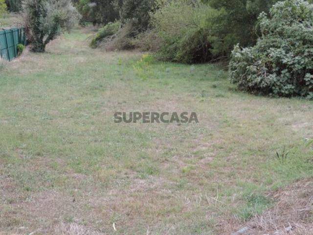 Terreno rústico para agricultura, Fegundeira, Espite
