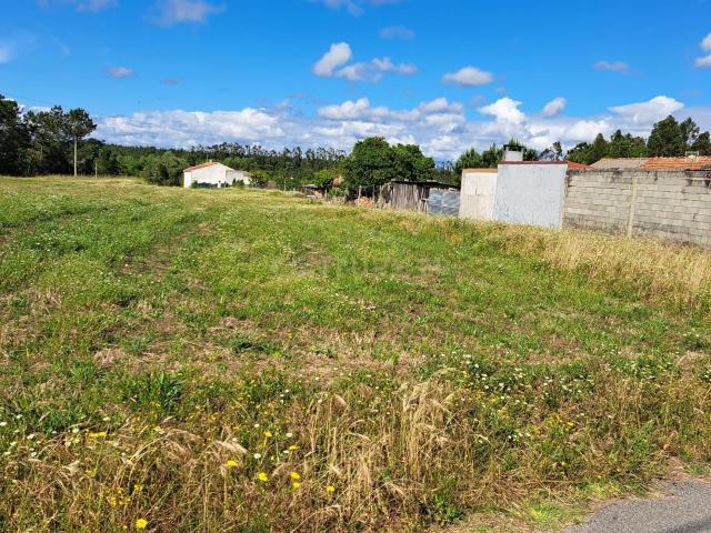 Terreno Rústico para construção junto da Figueira da Foz