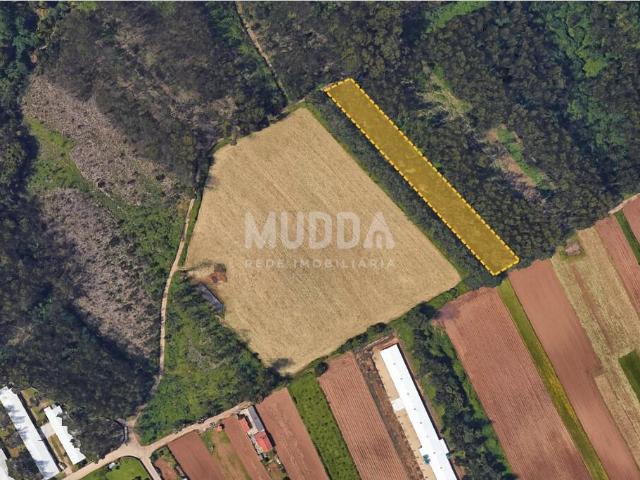 Terreno Rústico para Cultura com 1.600 m² em São João de Ovar