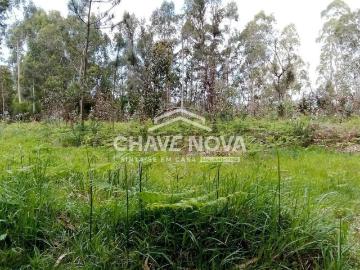 Terreno Rustico para estaleiro