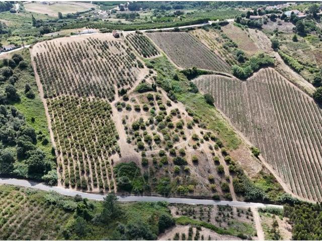 QUINTA VALE DAS COVAS
