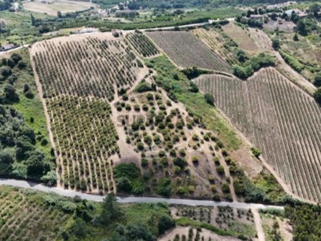 QUINTA VALE DAS COVAS
