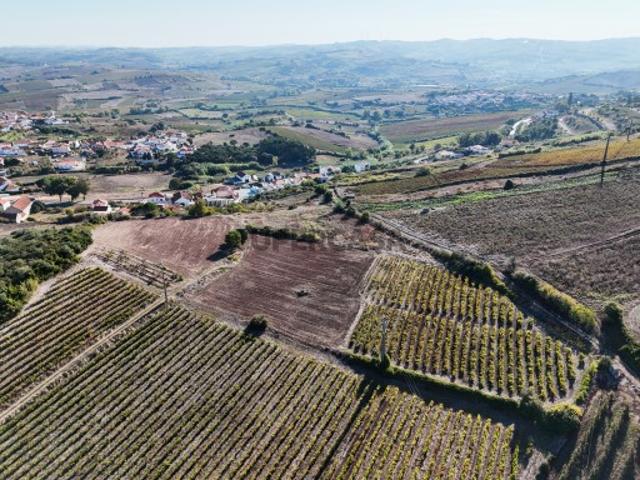 Terreno Rústico para produção Agricola