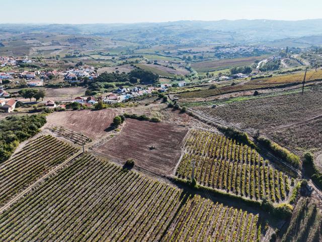 Terreno Rústico para produção Agricola