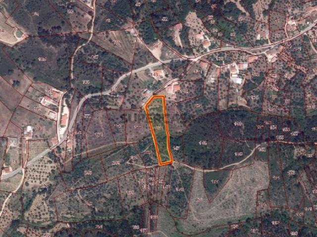 Terreno rústico com 6280m² Pero Calvo, Tomar