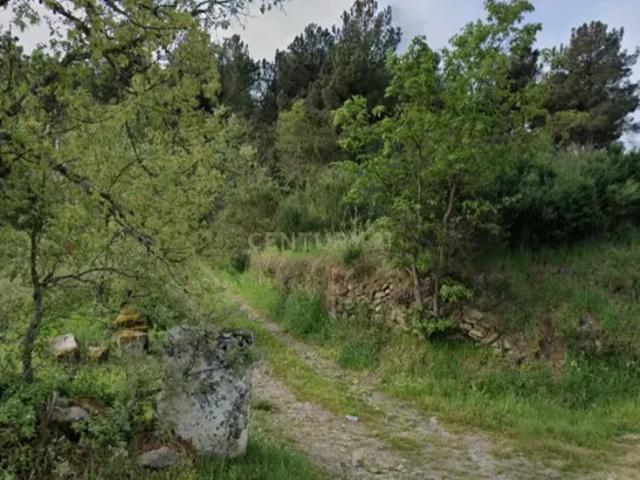 Terreno de 12 mil m2, perto do Casino Solverde de Chaves