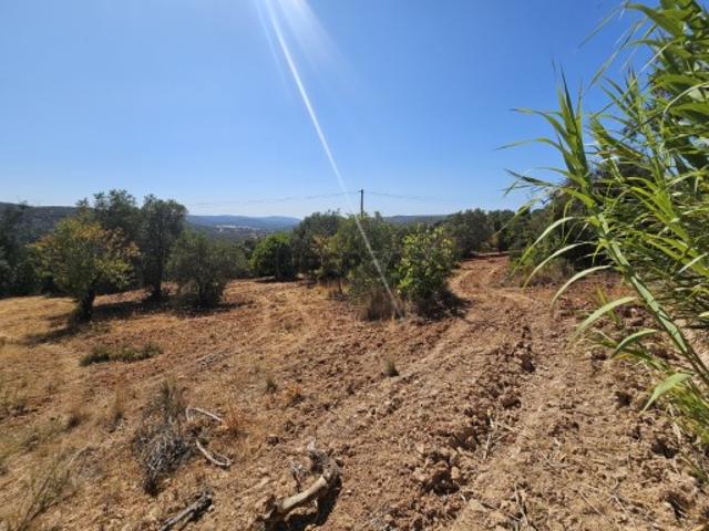 Terreno rústico perto de Querença com vista para a Umbria