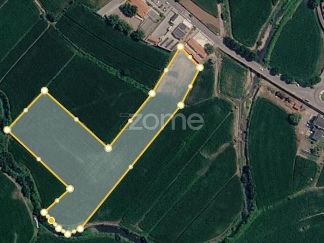 Terreno Rústico Plano de 13.000 m² em Balazar