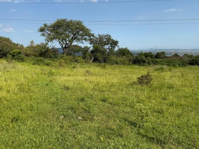 Terreno Rustico privado no ejidal en Totolapan Morelos