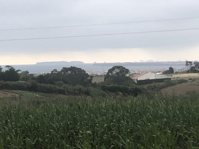 Terreno Rústico próximo da praia de São Bernardino em Peniche*RIOMAGIC