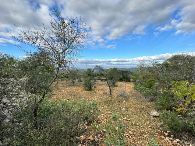 Terreno Rustico | Querença | Loulé