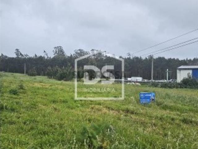 Terreno Rústico T0 Venda em Carriço,Pombal