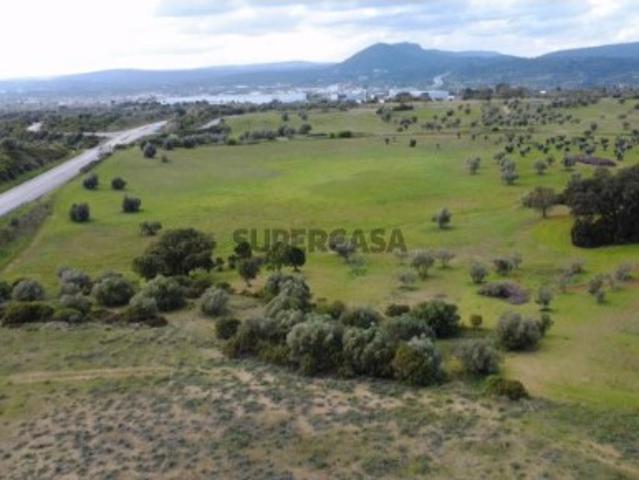 Terreno Rustico | Torres Novas Zibreira