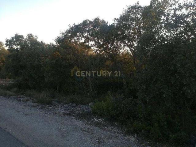 Terreno Rústico Terra Grande, Fátima, Ourém