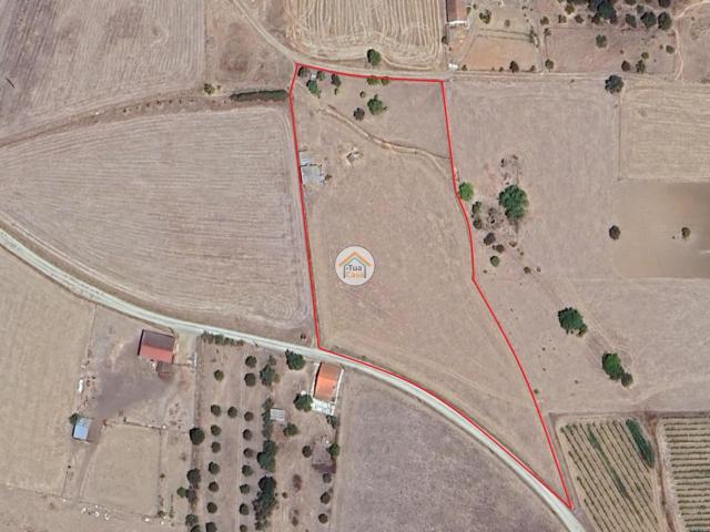 Terreno Rústico Urbanizável com 11.750 m², Localizado em Motrinos em de Reguengos de Monsaraz