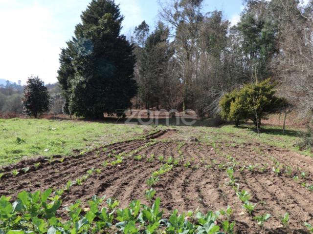 Terreno Rústico urbanizável com 4580m2 em Vale, Arcos de Valdevez