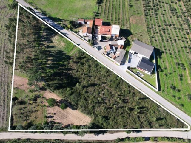 Terreno com possibilidade de construção em Carvalhal