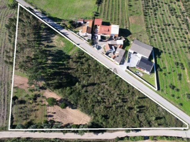 Terreno com possibilidade de construção em Carvalhal