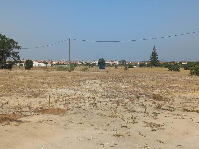 ️ Terreno de 6.694 m² com Elevado Potencial de Construção – Montijo Lagoa do Barro